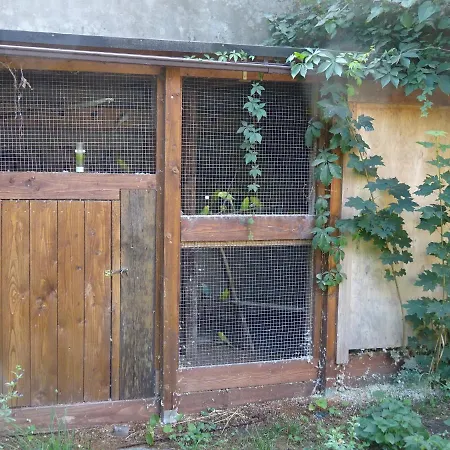 Frank´s Ferienwohnung in Dresden Exterior foto